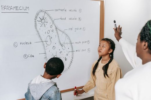 Active Recall for STEM: 5 Techniques That Actually Work