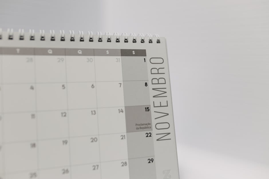 Close-up image of a November calendar page, featuring a minimalist design.
