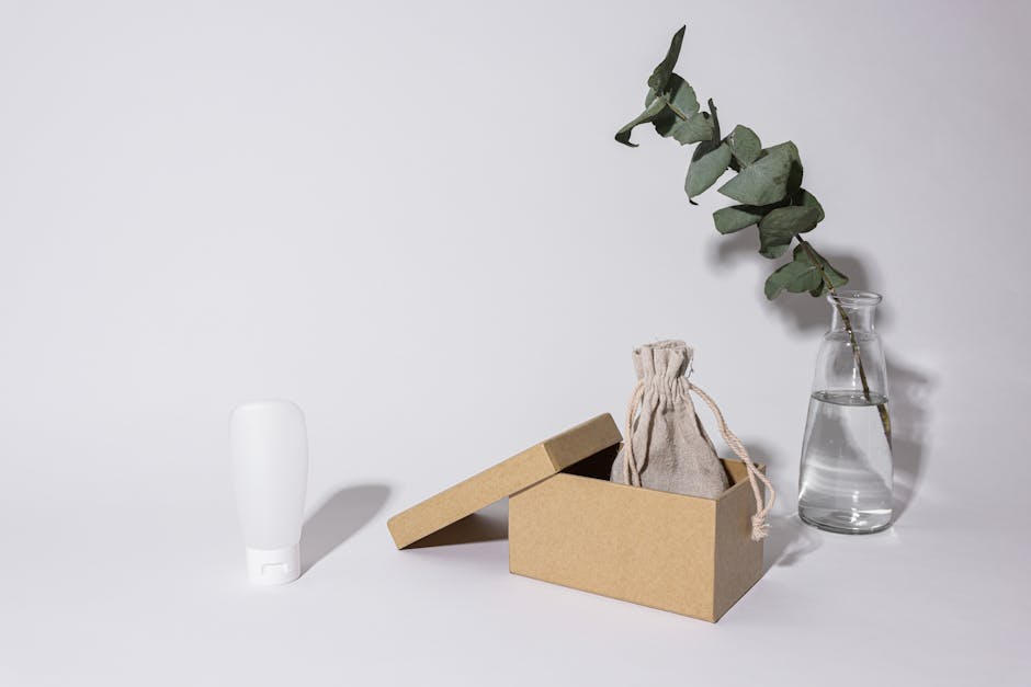 A minimalist composition featuring a glass vase with eucalyptus, a cardboard box, and a pouch.