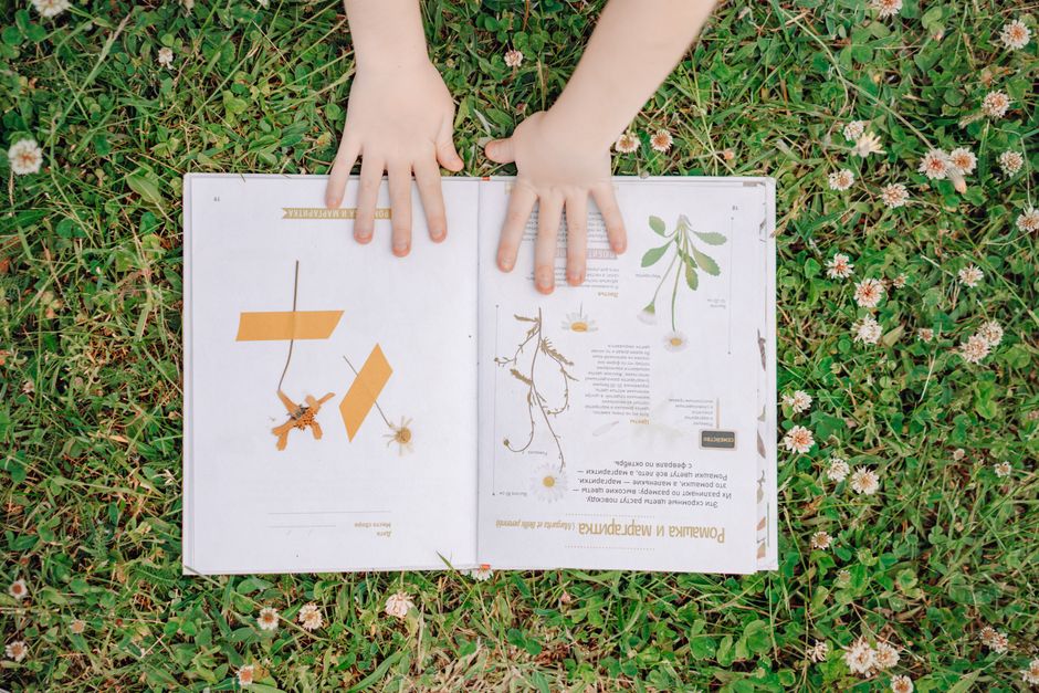 Child's hands on an open book about flora, placed on a grassy field.