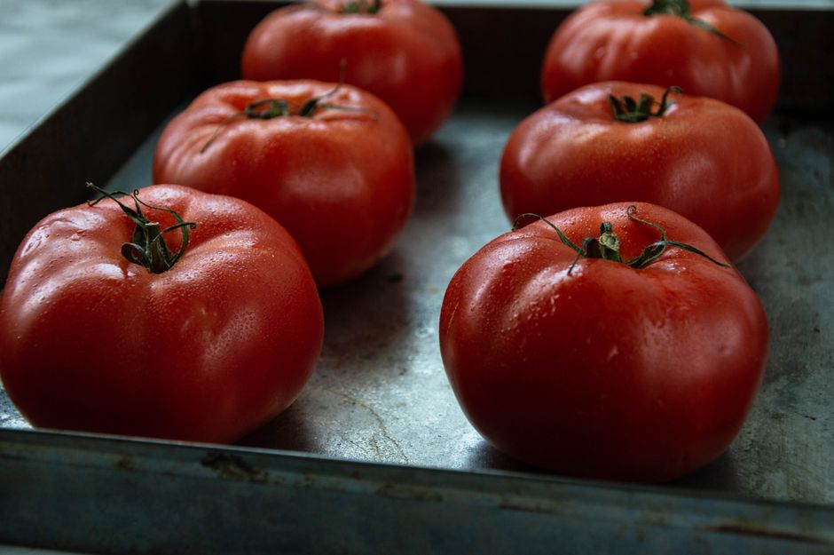 Close-up of fresh ripe tomatoes resting on a metal tray, showcasing organic produce.