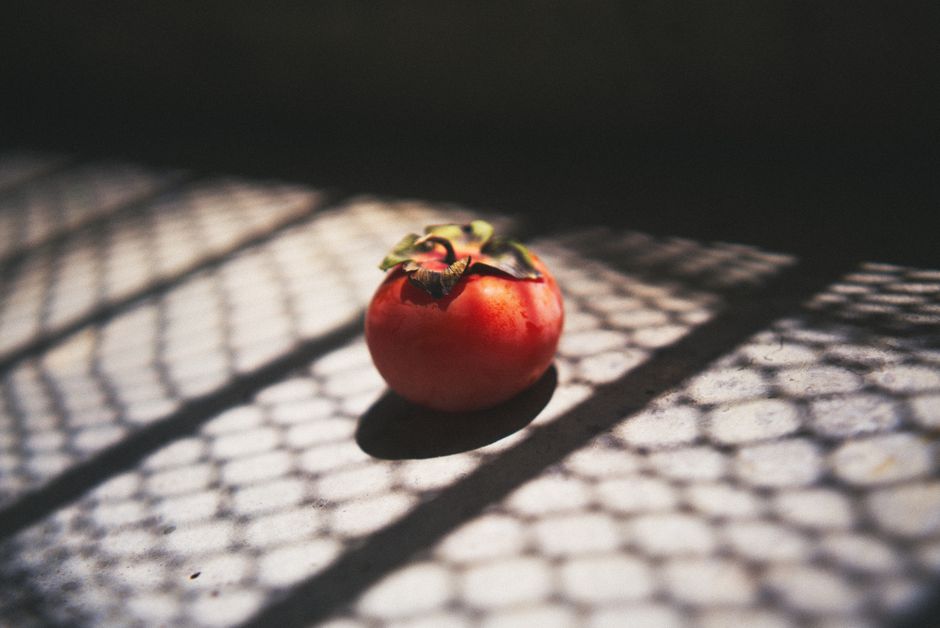 A single persimmon cast in dramatic shadows creating an artistic still life.