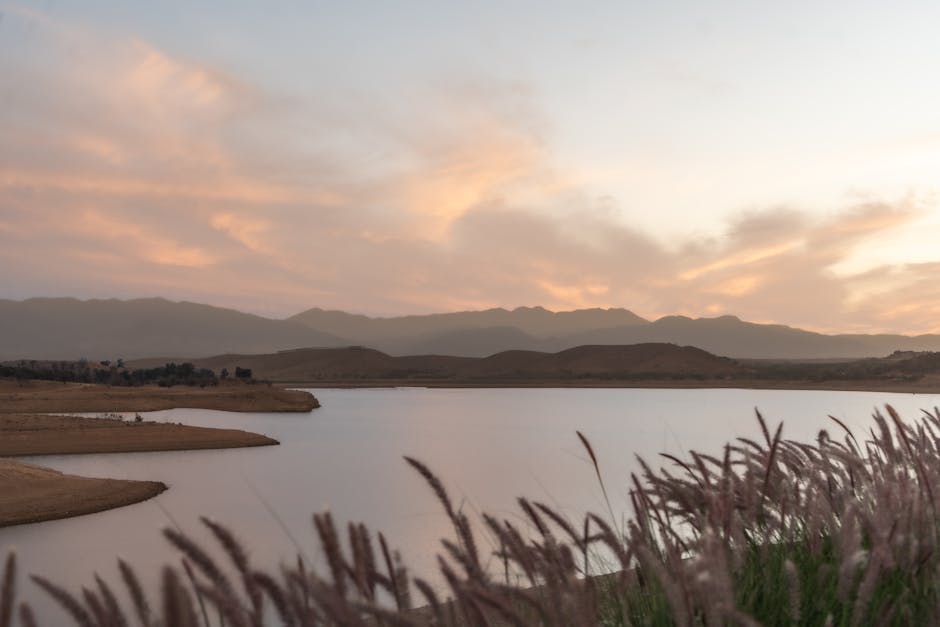 Zoom vs Google Meet: Which Video Tool Actually Works for Tutors