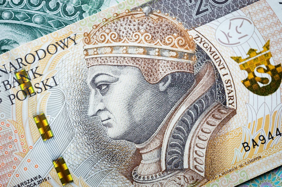 Detailed close-up of Polish currency depicting King Sigismund I, highlighting intricate patterns.